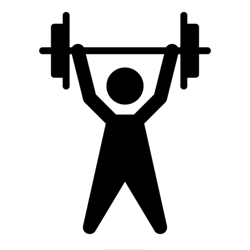 Gymnasium