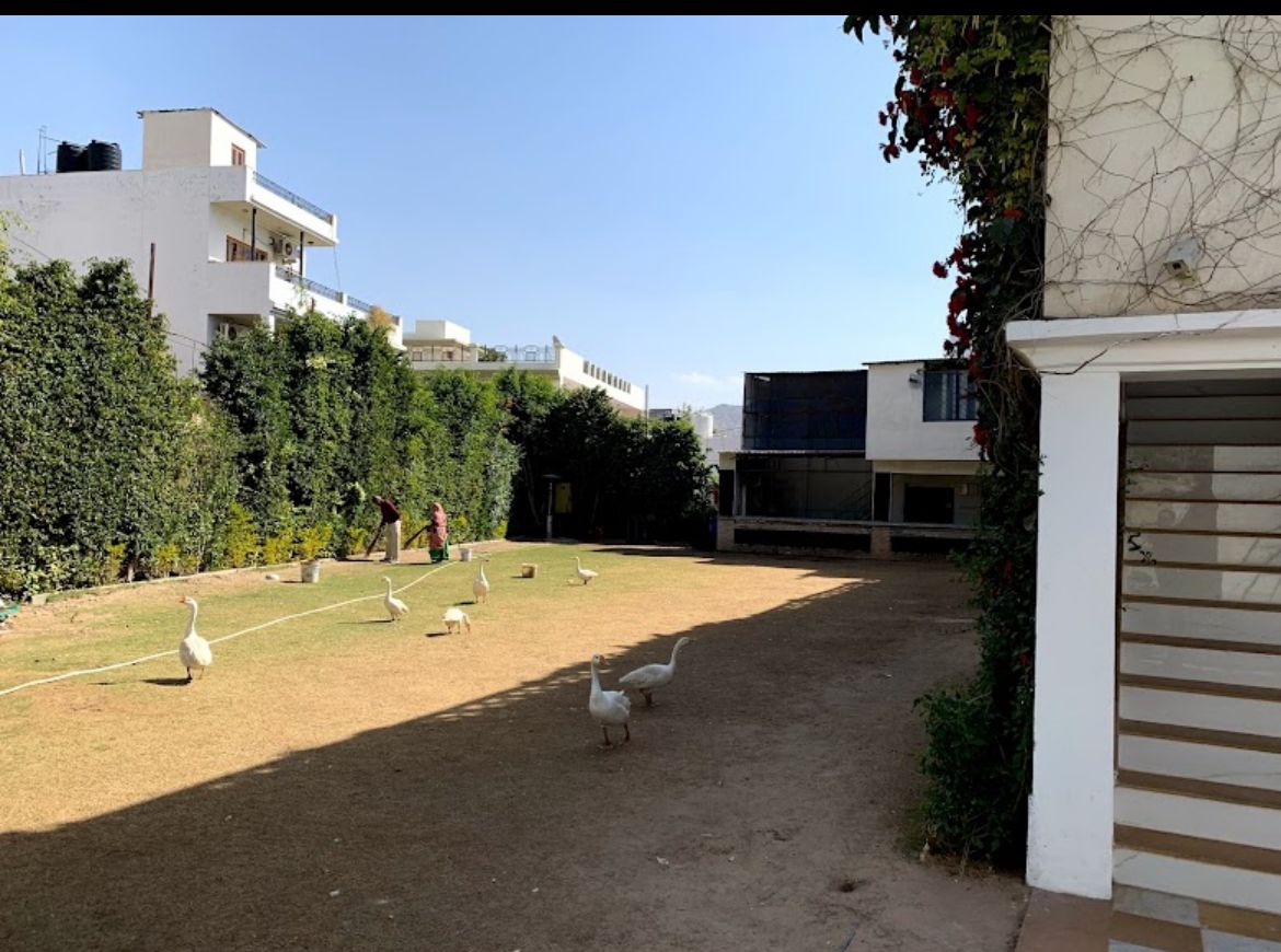 image-7
