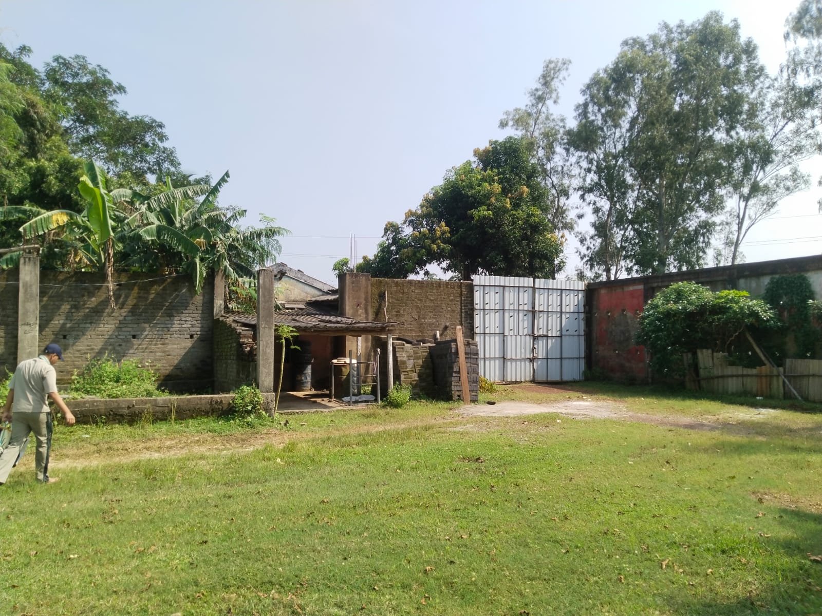 image-7