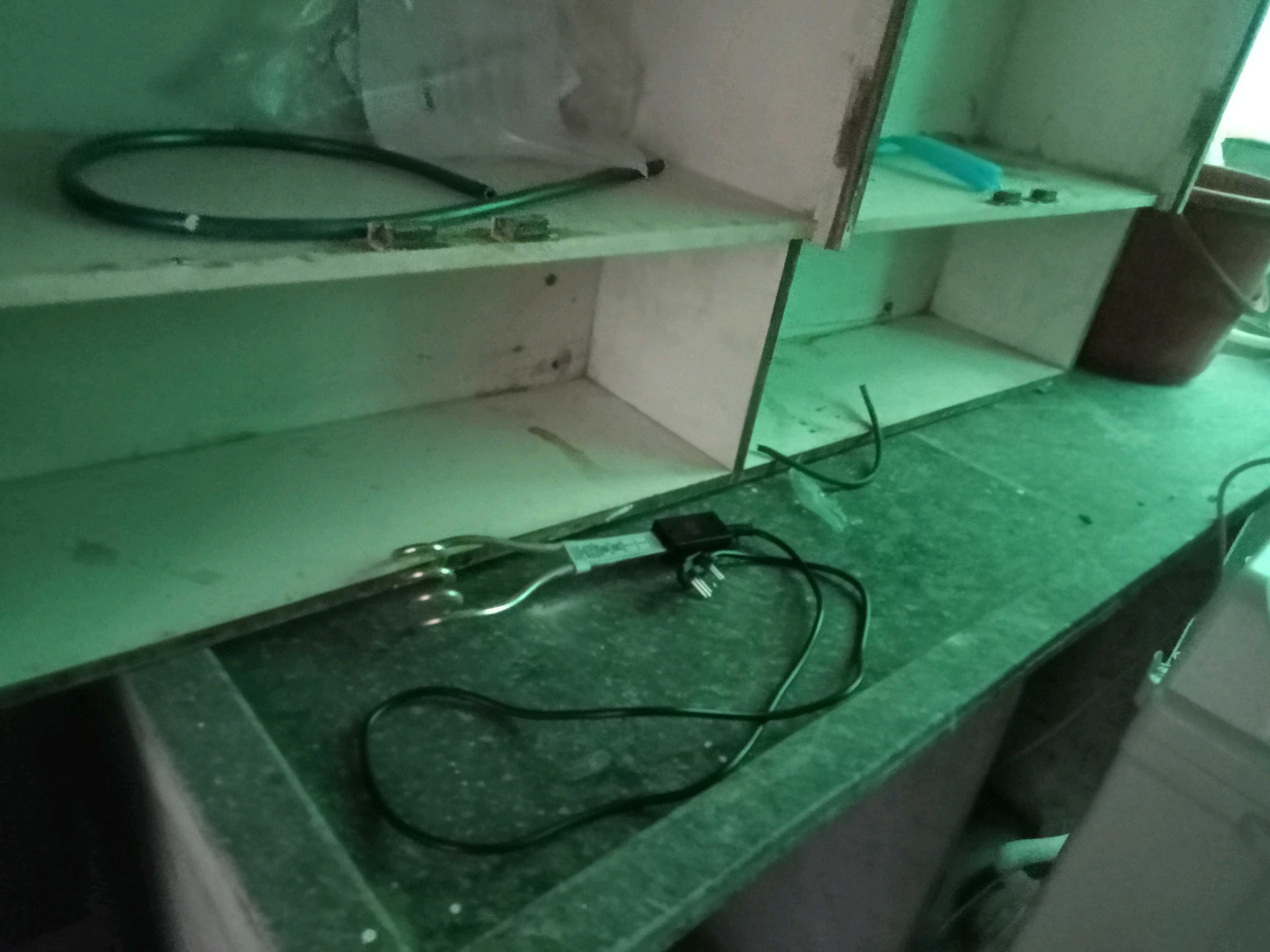 image-2