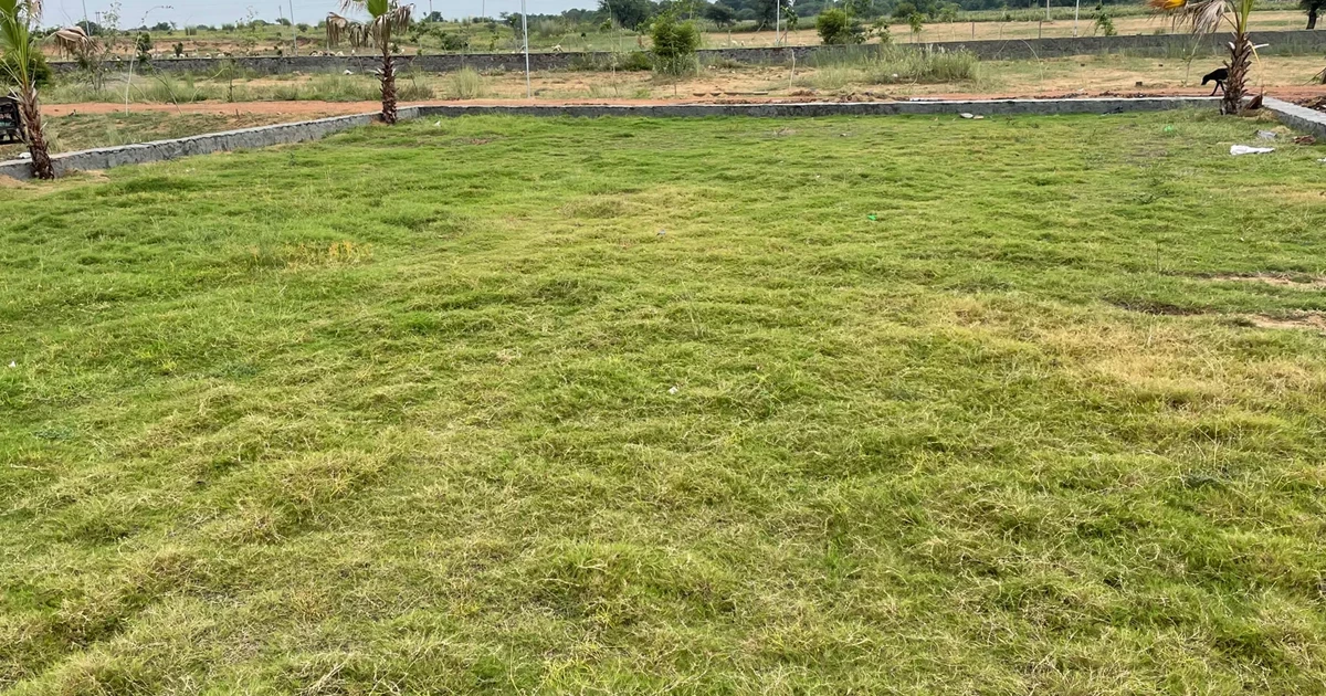 125 Bigha Land