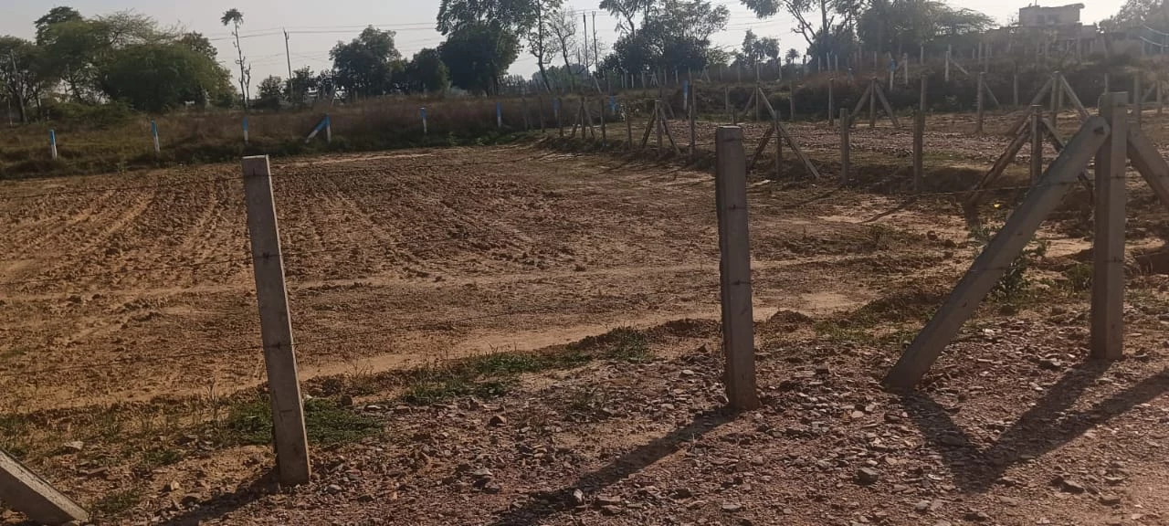 WIT Property