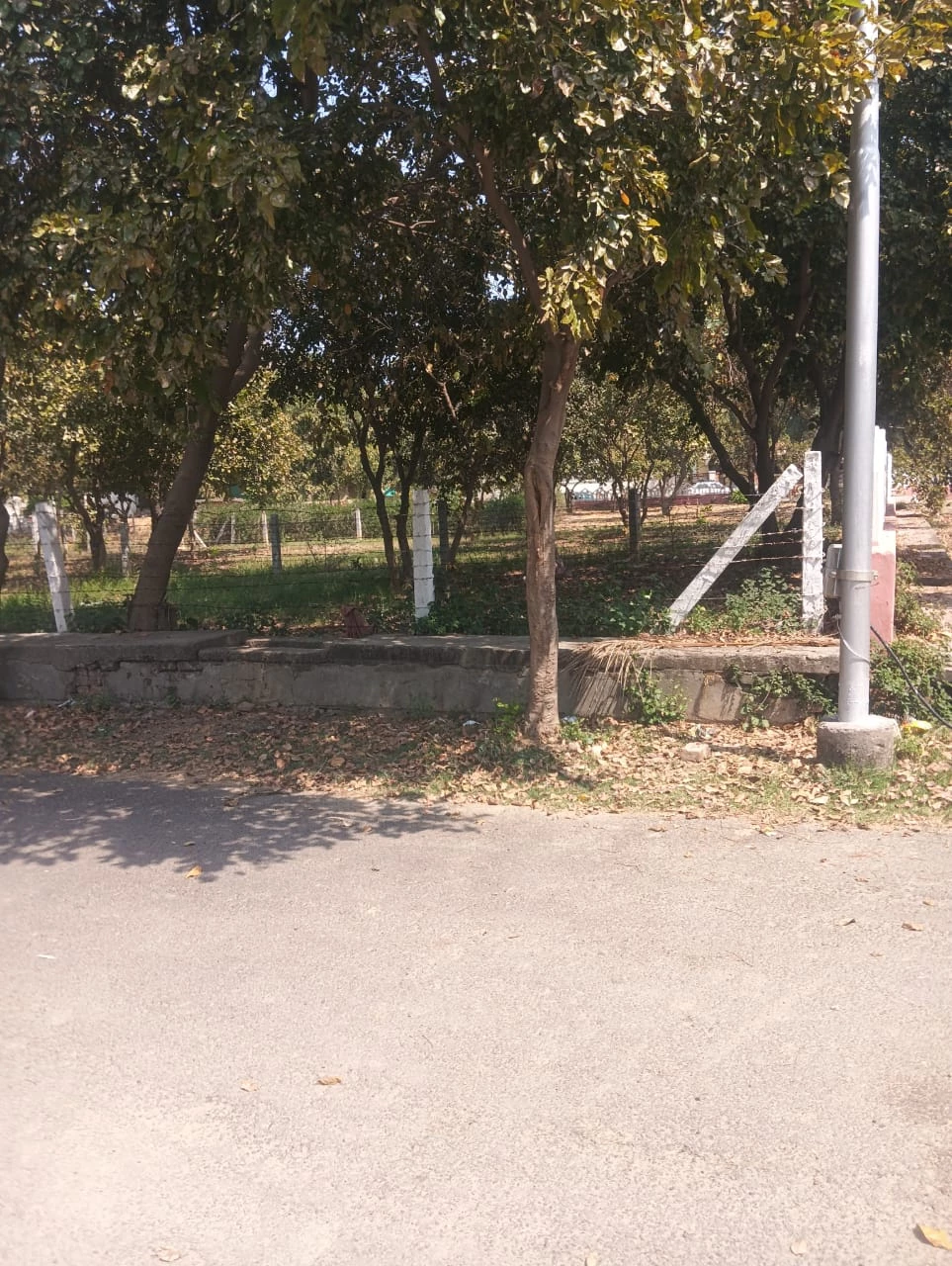 Residential Plot For Sale in Sigma 2, Greater Noida