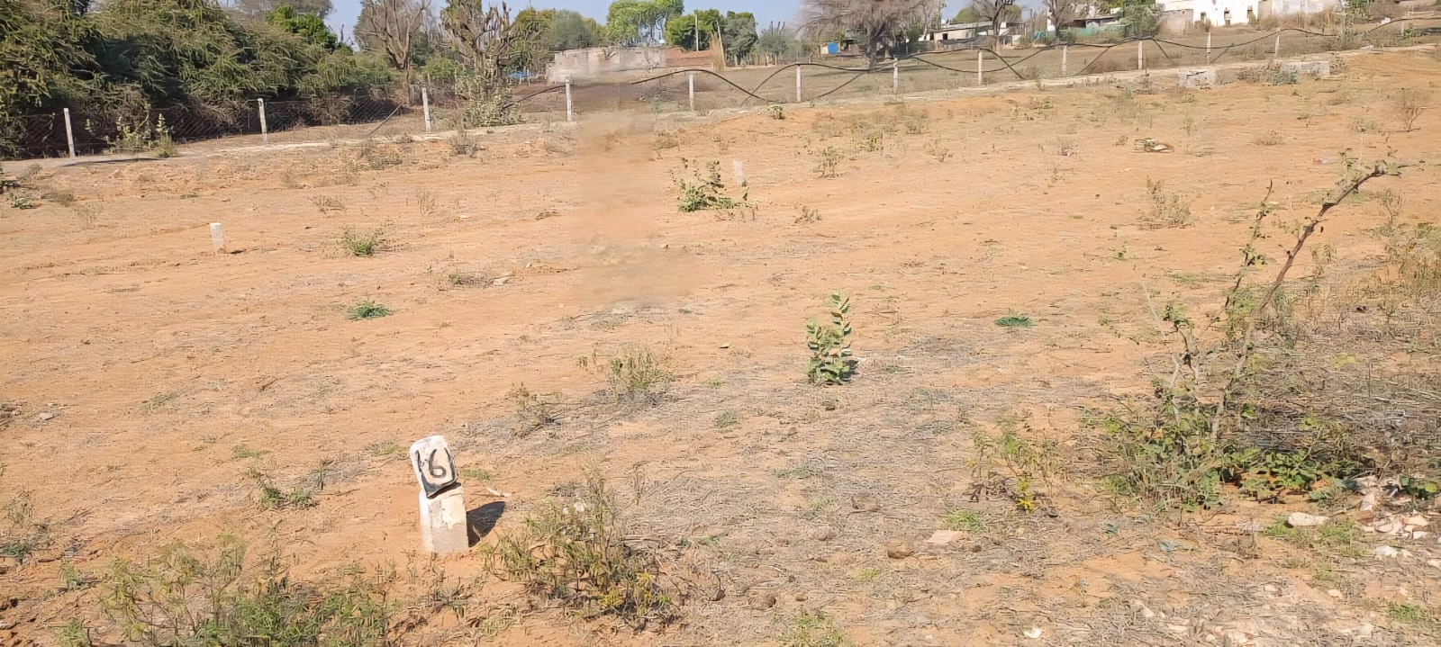 Sefron Vatika Thikariya Road Near Vatika Infotech City, Ajmer