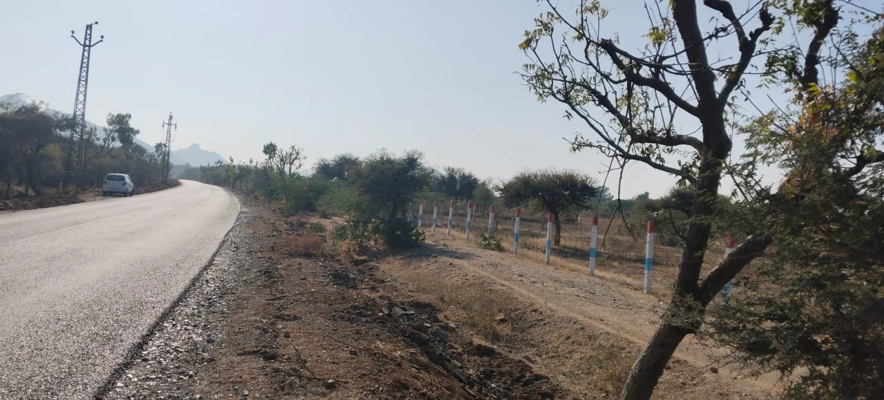 Jawai Leopard Area Land