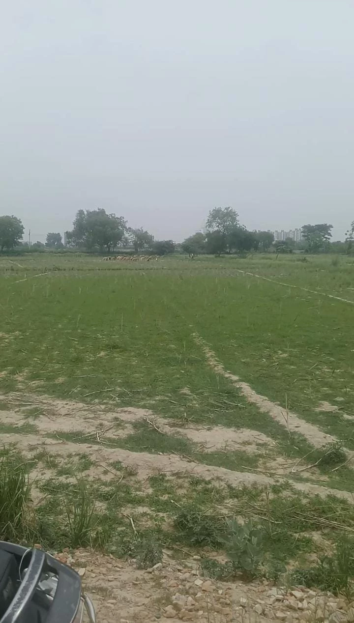 Banke Bihari Greens MVDA project