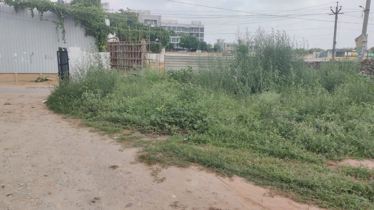 Rao Property