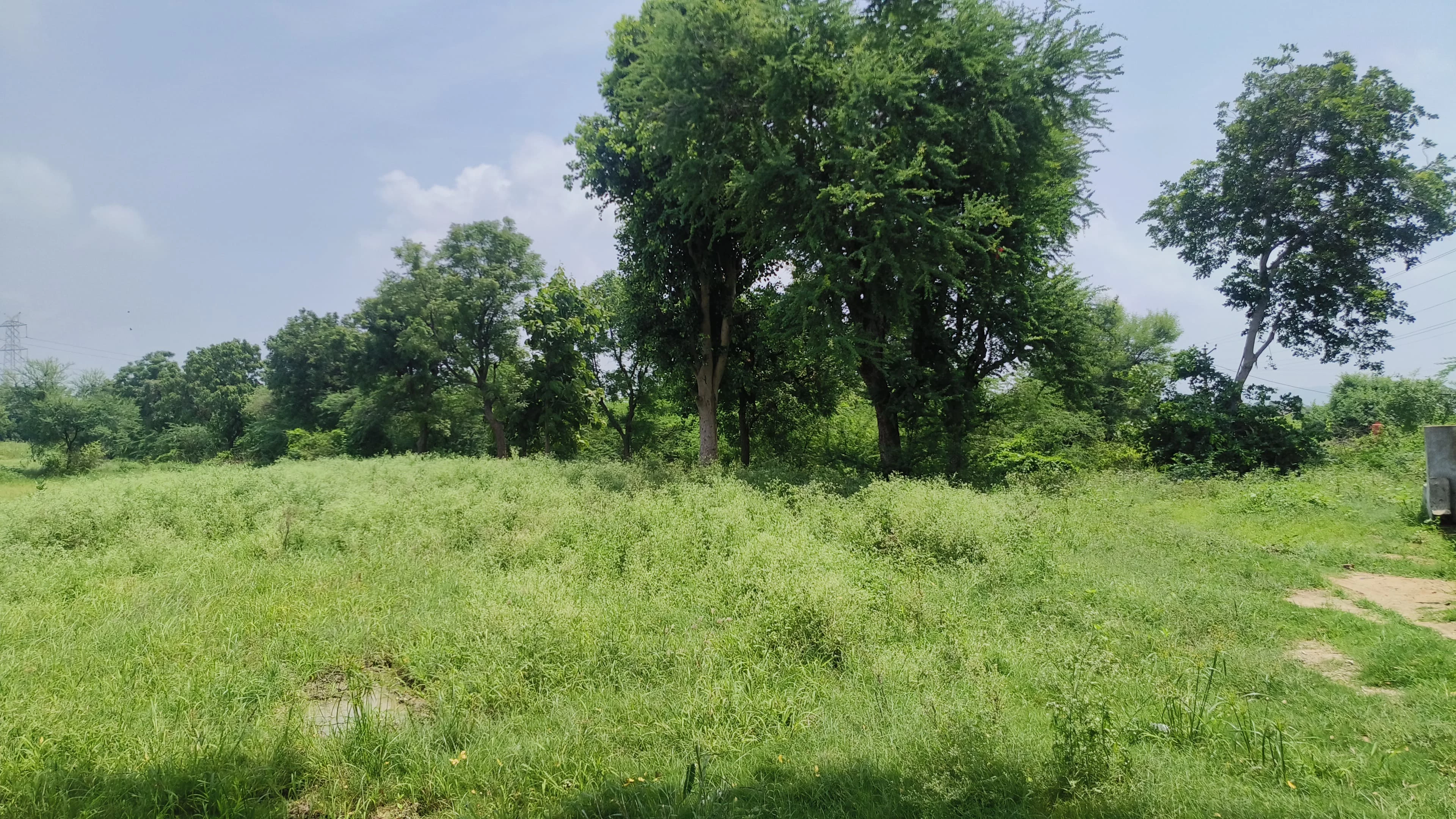 Durshavat Properties Developers Sirohi Property 3