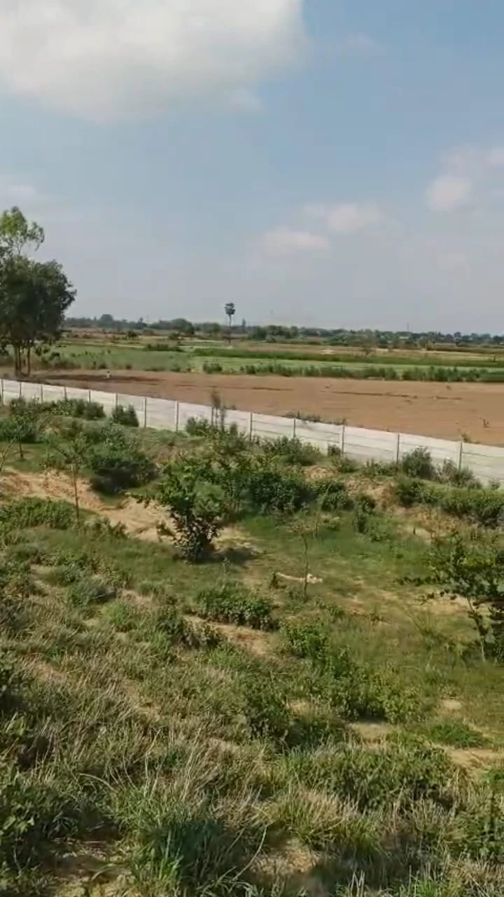 Kausal Property