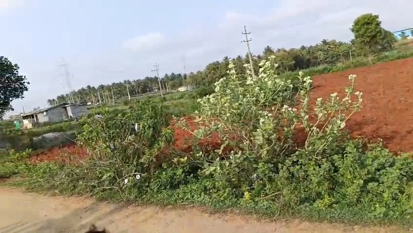video-thumb